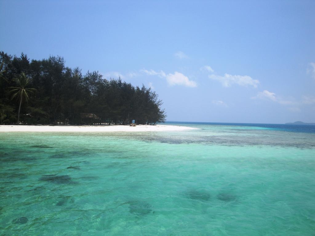Menjangan Resort 카리문자와 객실 사진