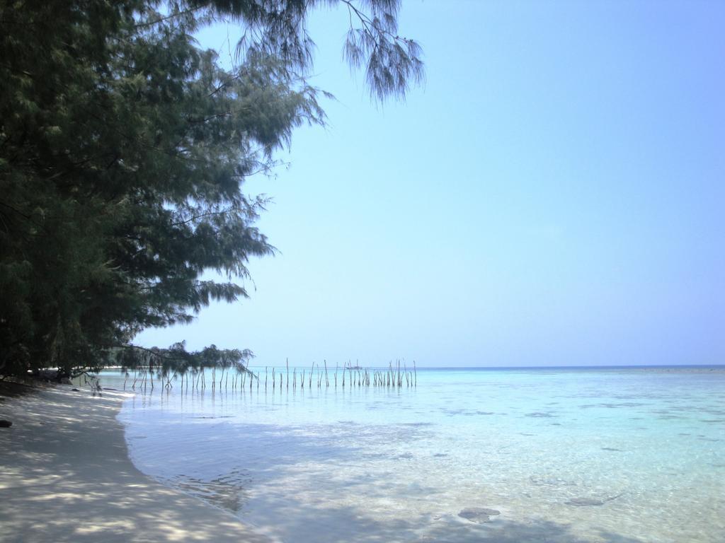 Menjangan Resort 카리문자와 객실 사진